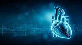 EEG-equipment-price-in-Pakistan-2024-2025